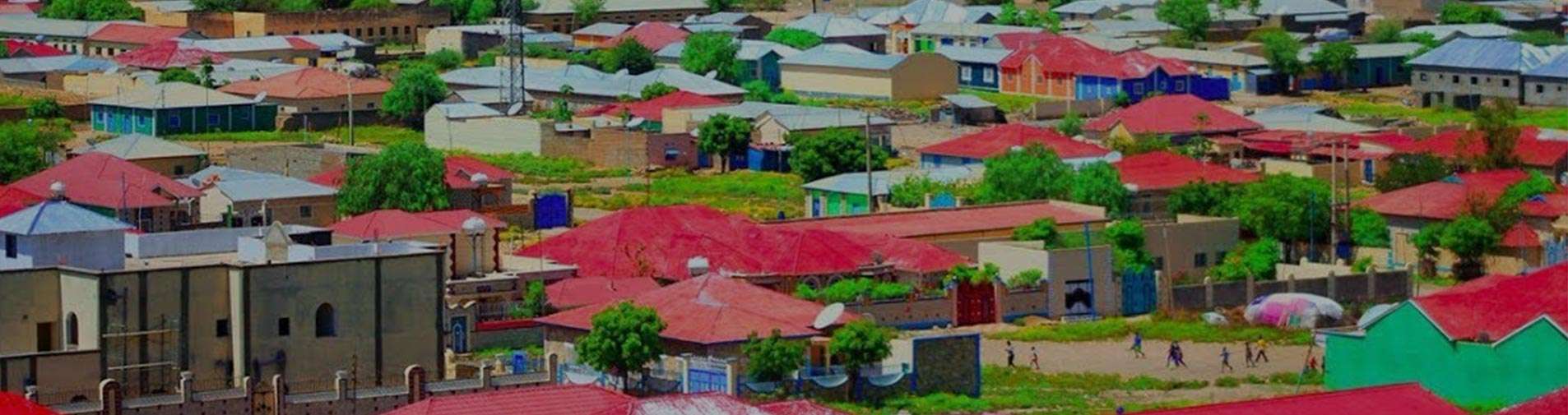 Borama